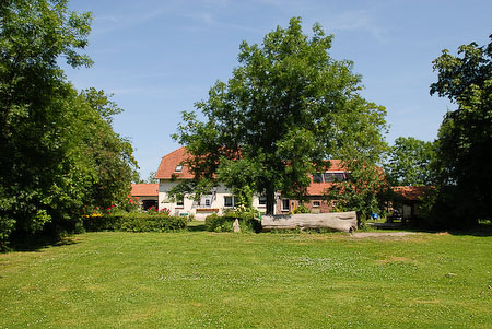 Foto aus der Fotogruppe 