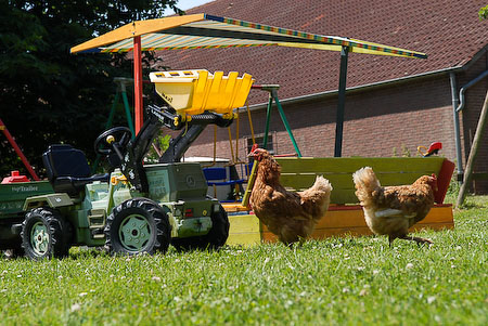 Foto aus der Fotogruppe 