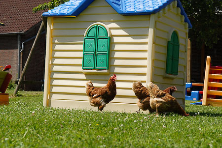 Foto aus der Fotogruppe 